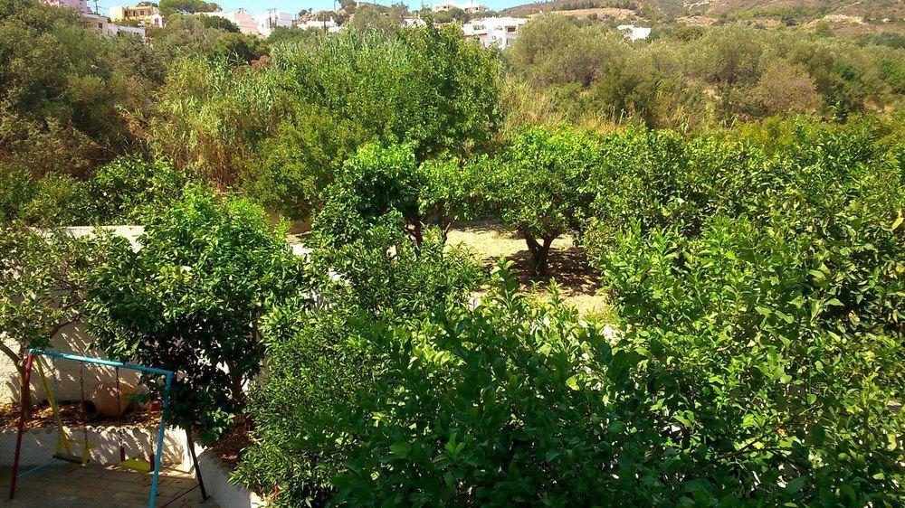 Kalathos Sun Hotel מראה חיצוני תמונה