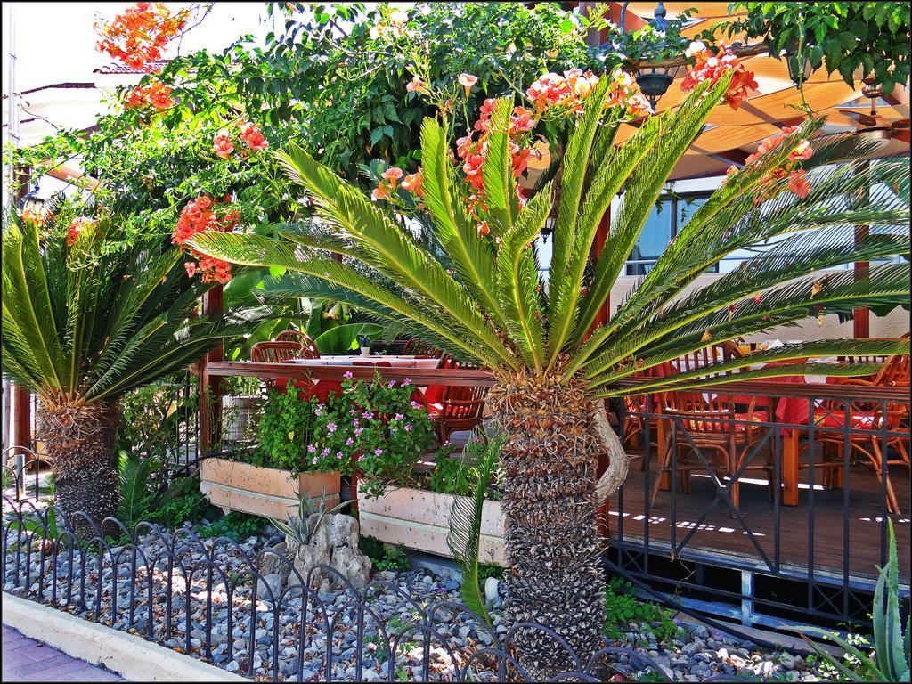Kalathos Sun Hotel מראה חיצוני תמונה